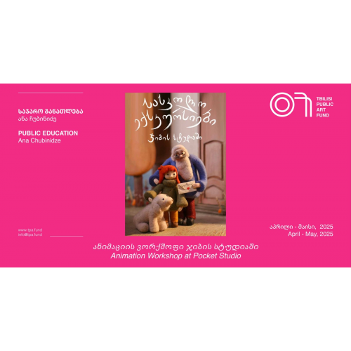 Animation Workshop, Pocket Studio