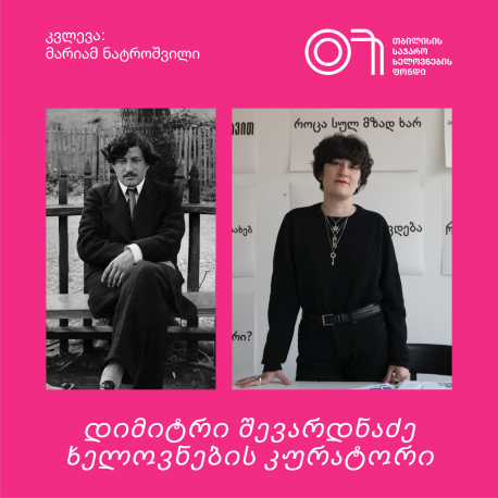 მარიამ ნატროშვილი: დიმიტრი შევარდნაძე – ხელოვნების კურატორი